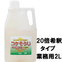パネフリ工業 コケそうじ濃縮液業務用 2Lボトル(高濃度20倍希釈タイプ)〜イシクラゲ対策 コケ除草剤 こけ退治 苔駆除