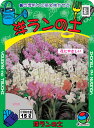 (3袋セット販売)秋本 洋ランの土15L(5Lx3袋)〜洋らんの生育に合わせた本格派培養土