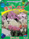 培養土 秋本 洋ランの土 5L小袋
