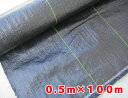 【送料無料】防草シート0.5m×100m　2本セット （草よけ）除草 除草シート