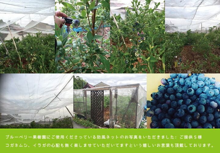 �����ͥåȡ�4mm�ܡ�2m��50m�������