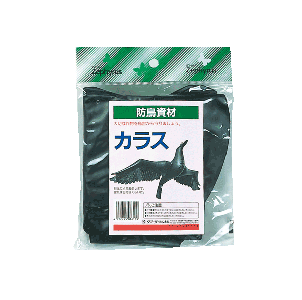 カラス　80×49cm