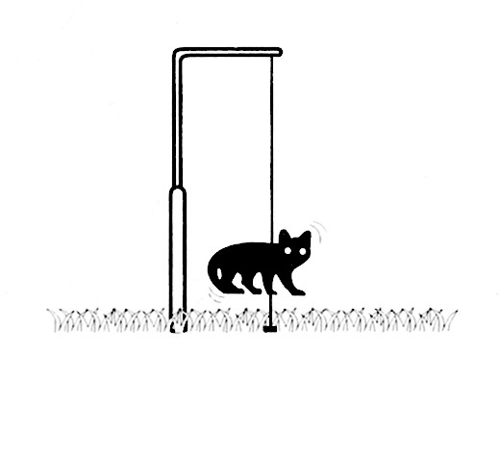 �ͥ��˥����롡A��