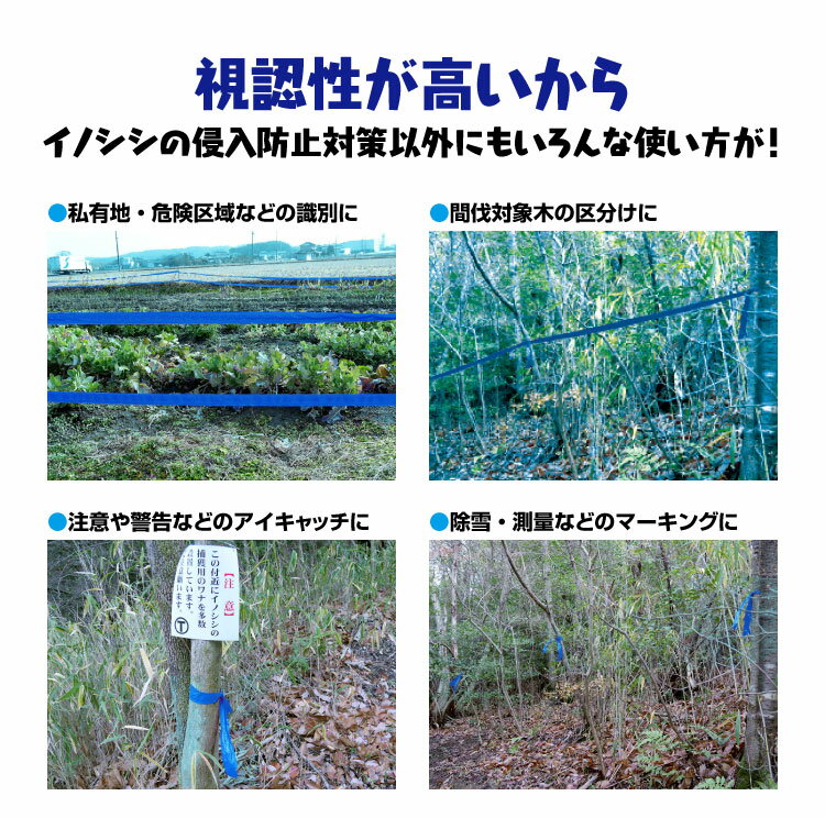 �Ѹ��������̥ơ��ס�1�������ʤ�ǻ���֥롼�ơ��ס�200m��