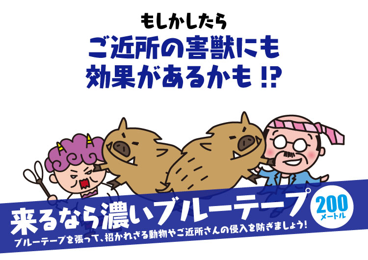 【送料無料】耐候性　識別テープ　来るなら濃いブルーテープ　30巻　200m巻