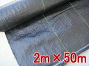 防草シート押さえ釘(黒丸付)20組プレゼント中 【送料無料】 防草シート(草よけ) 2m×50m 除草 除草シート