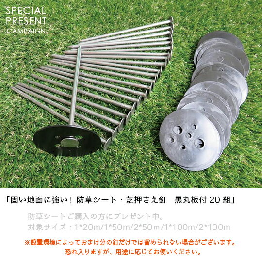 ���𥷡��Ȳ�����ţ��(������)20�ȥץ쥼����桡������̵�������𥷡��ȡ���褱�� 1m��100m ���� ���𥷡��ȡ����𥷡��� ���� �����ɻߥ����� �����ɻ� �𴢤����� ���� ������ ���� ���� �ܤ�����������