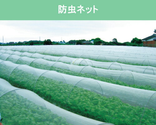 ����ȥ�����󥵥�ͥåȡ�1.8��5m