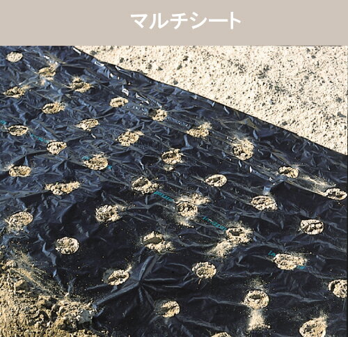 ��������ޥ��(����)��0.95��50m