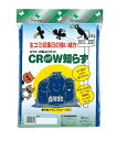 【送料無料】カラスよけネット 青 2mx2m カラスネット ブルー 周囲おもり入りロープ
