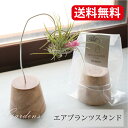 エアプランツスタンド S air plants stand チークスタンド stem インテリア ディスプレー 花器 グリーン ウッド 観葉植物 花台 ナチュラル teakwood チークウッド インドアグリーン インテリアグリーン 【送料無料】