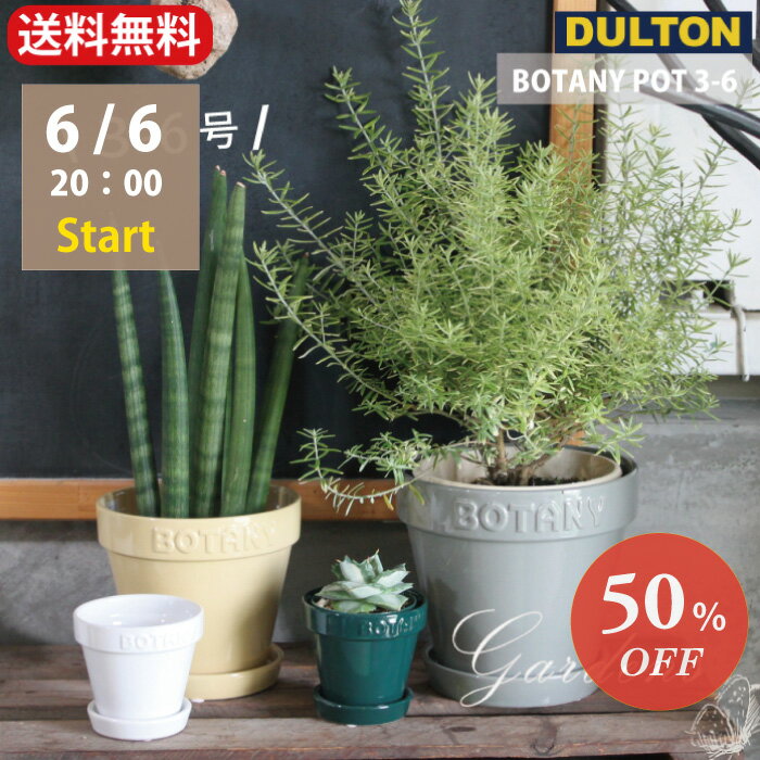 「 ダルトン　BOTANY　POT　3-6 」 3号鉢　5号鉢　6号鉢　目安　BOTANY POT 3　5　6 BEIGE テラコッタ 陶器 底穴あり ポット　 鉢カバー 多肉植物 ベージュ　グリーン　グレイ　ホワイト　