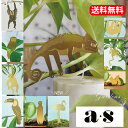 Another Studio 「プラントアニマル 」 アナザースタジオ カメレオン ナマケモノ カエル ミーアキャット リス フクロウ 動物 鳥 飾り ギフト ...