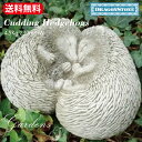 「 CUDDING HEDGEHOGS 」 寄り添いあうハリネズミ ガーデニング オーナメント はりねずみ　ハリネズミ　針鼠 ガーゴイル イギリス 置物 オブジェ 童話 動物 Hampshire Garden Craft ドラゴンストーンシリーズ イングリッシュガーデン 庭好き 送料無料