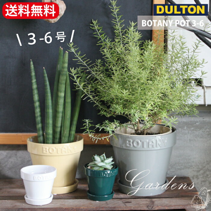 「 ダルトン　BOTANY　POT　3-6 」 3号鉢　5号鉢　6号鉢　目安　BOTANY POT 3　5　6 BEIGE テラコッタ 陶器 底穴あり ポット　 鉢カバー 多肉植物 ベージュ　グリーン　グレイ　ホワイト　