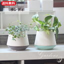 【エントリーで+P10倍&MAX10%OFFクーポン】「 サンディ」植木鉢 ポット greenpot グリーンポット 雑貨 シャビー シック 植木鉢 おしゃれ ...