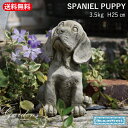 Hampshire Garden Craft K[fjO I[ig SPANIEL PUPPY XpjG q q  Ck DGD23 I[ig CMX nvV[ CObV K[f IuWF u hSXg[  fR[V _[fR[ yz