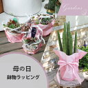 【エントリー&買い回りで店内全品MAX P10倍&クーポン!】●●母の日 鉢物 ギフトラッピング●●