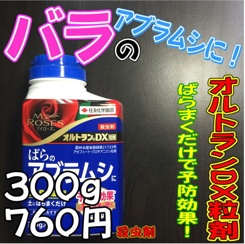 マイローズ オルトランDX粒剤 300g