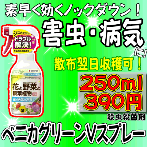 [幅広い病害虫に！]ベニカグリーンVスプレー[250ml]