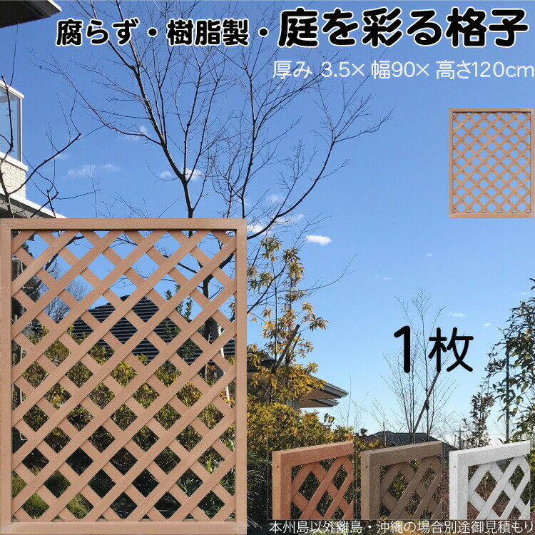 ʻҥƥ  饤ȥ֥饦 1 1290 3.5H120W90cm ʤ ֻڤ ܱ 롼С ե ƥ   ...