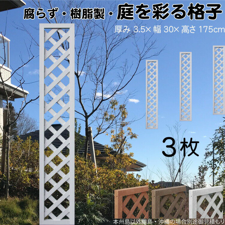ʻҥƥ   3set 1753 3.5H175W30cm ʤ ֻڤ ܱ 롼С ե ƥ...