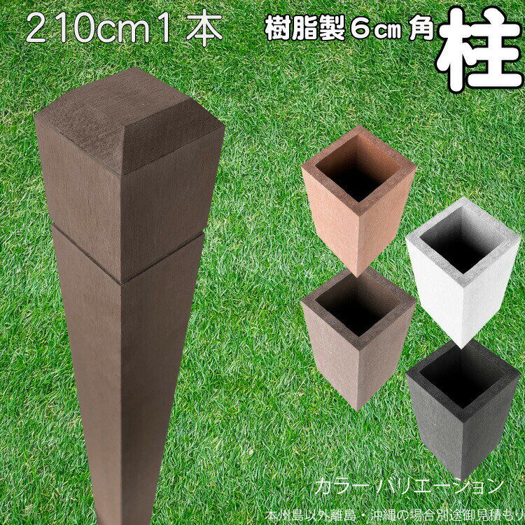  ݡ   ݥ210cm6cm 1 祳졼ȥ֥饦 ե ܱե ܡ ƥ  ͹ں