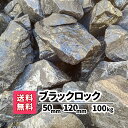 【送料無料】100kg（20kg×5） ブラッ