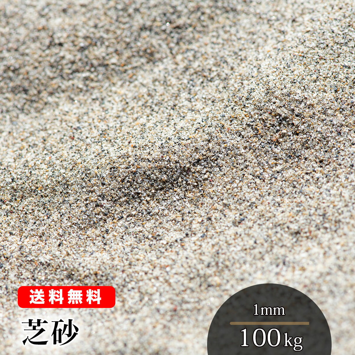 芝砂【送料無料】芝生用 目砂 100kg（20kg袋×5） 