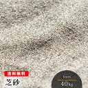 芝砂【送料無料】芝生用 目砂 40kg（20kg袋×2） 1mm 