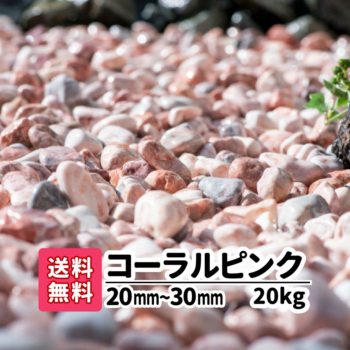 ピンク 庭 砂利 大理石 雑草対策 【送料無料】20kg コーラルピンク 20mm〜30mm 4号 化粧砂利 玉石 植栽 観葉植物 化粧 玉砂利 エクステリア オシャレ インテリア ガーデニング おしゃれ かわいい きれい 石 ミックス 庭石 敷石 アプローチ 玄関 洋風 熱帯魚 水槽