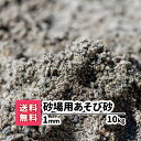 【送料無料】砂場用砂 10kg 1mm 放射線測定済み 砂遊び 砂場の砂 子供 砂 すな 砂場 安心安全 静岡県産 庭遊び 砂あそび 遊び砂 砂場遊び 庭 地面 補修 補充 補修材 資材 ベランダ 室内 泥んこ遊び 砂だんご 泥だんご 子ども すなあそび 国産 幼稚園 保育園 10キロ