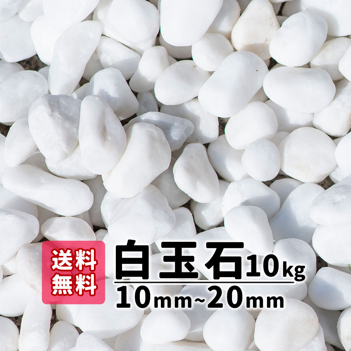 【送料無料】 砂利 10kg 白玉石 10mm〜20mm 水たまり 外構 diy ガーデニング エクステリア じゃり ジャリ 白 植栽 花壇 植木鉢 鉢 鉢植え 観葉植物 庭 石 化粧ジャリ 化粧 アプローチ 玉石 オシャレ お洒落 白い石 白い砂利 綺麗な石 敷き砂利 庭石 敷石 石材 テラス