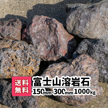 【送料無料】1000kg 富士山パワー溶岩石 150mm〜250mm（20kg×50）ガーデンロック 庭 アプローチ おしゃれ ガーデニング アクアリウム 溶岩石 水槽レイアウト メダカ 熱帯魚