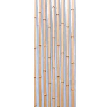 白竹　7分　80本/束【晒竹】：運送会社の都合により工事業者・法人様に対しての発送となります。(個人様宅への発送はできません)返品不可商品です。