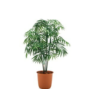 人工樹木 パーラーパームH1100【屋内用】【人工植物】【室内庭園】【インテリア】【グリーンアイテム】【代引不可】【メーカー直送】【坪庭用和風樹木】