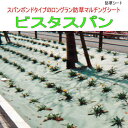 強力防草マルチングシート ビスタスパン/1m×200m/【防草シート】【防草マット】【送料無料】