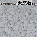 しろい玉石 10～20mm 20kg/袋 【あす楽】【砂利】【送料無料】【白玉石】【砕石】【白玉砂利】一部地域別途別途送料となります。