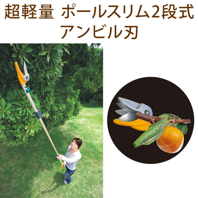 高いところに刃が届く　高枝切ばさみ ポールスリム2段式 超軽量 高枝 ハサミ 簡単 カット 庭 手入れ ガ..
