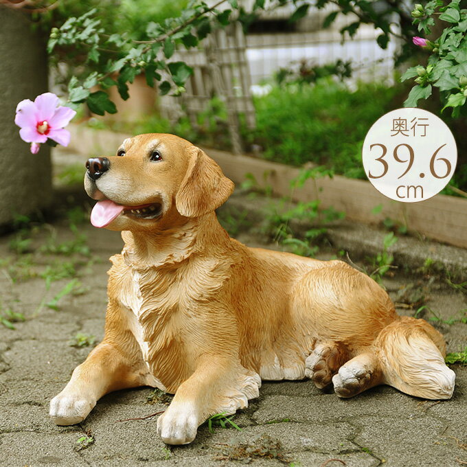 楽天Nester（ネスター）犬 置物 本物そっくり ゴールデンレトリバー のんびり ptuD 飾り オブジェ マスコット かわいい 大きい リアル 玄関 屋内 屋外 庭 ドッグ 大型犬 オーナメント ゴールデンレトリーバー 犬の置物