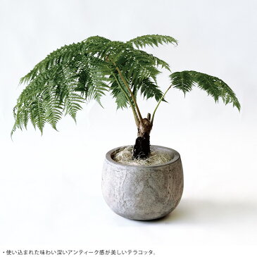 植木鉢 大型 陶器 自然と調和する プランター フリット エッグ型 直径23cm 鉢 大きい テラコッタ 素焼き おしゃれ 屋外 底穴あり アンティーク 大きな ナチュラル