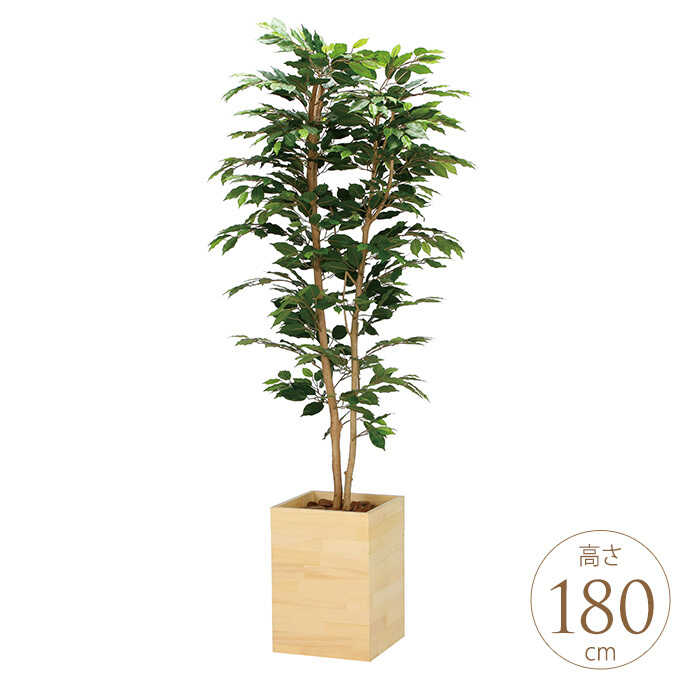 フェイクグリーン 鉢植え 大型 ウッドボックス ベンジャミン 1.8m 人工 観葉植物 リアル 光触媒 インテリア グリーン おしゃれ 飾り リビング オフィス 業務用 オフィス 事務所 玄関 待合室 【送料無料】