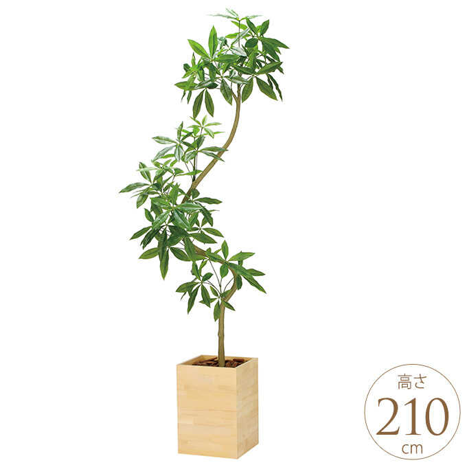 フェイクグリーン 鉢植え 大型 ウッドボックス パキラ 2.1m 3分割組立 人工 観葉植物 リアル 光触媒 インテリア グリーン おしゃれ 飾り リビング オフィス 業務用 オフィス 事務所 玄関 待合室 【送料無料】