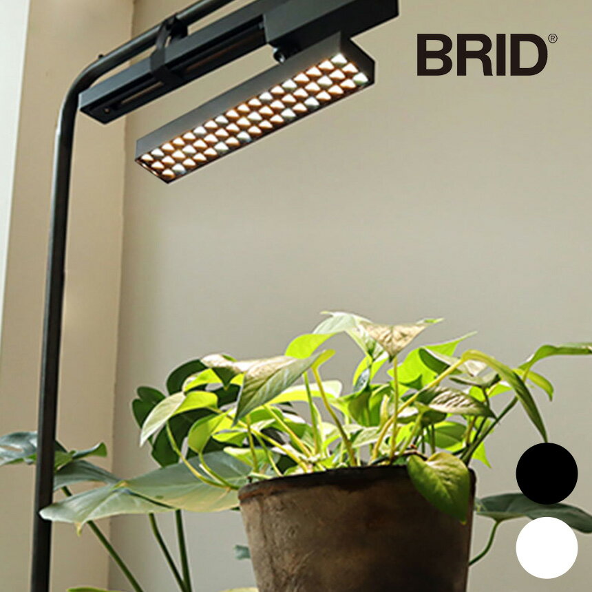 ʪ饤 LED SPOT LIGHT for PLANTS 30W ptuB ʪ饤 ȥ졼 Ÿ  ƥꥢ ¿ ʪ   ڱ   в տʪ  饤  BRID ̵