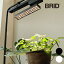 ʪ饤 LED SPOT LIGHT for PLANTS 30W ʪ饤 ȥ졼 Ÿ  ƥꥢ ¿ ʪ   ڱ   в տʪ  饤  BRID ̵