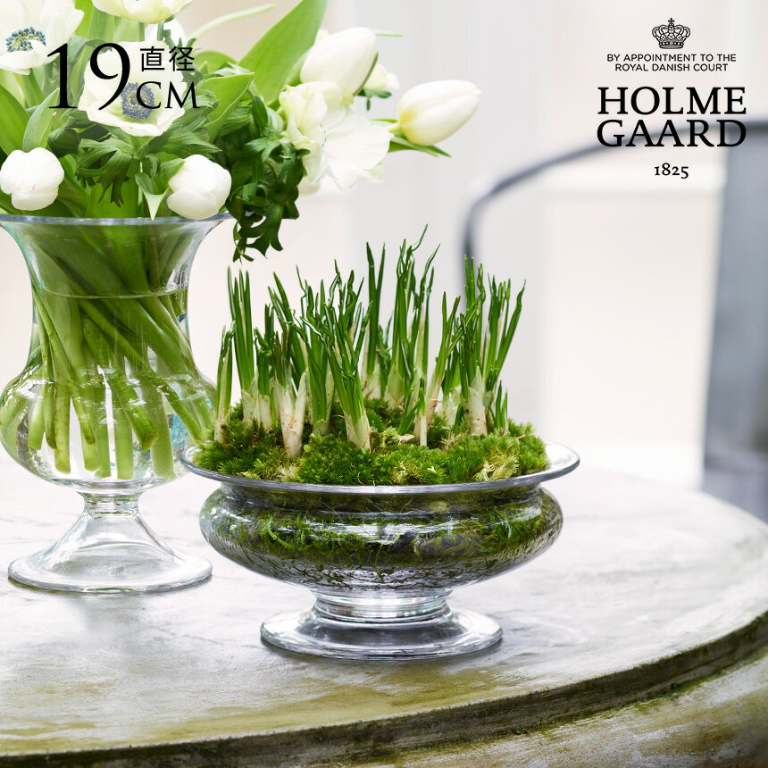 ガラス花瓶 水耕栽培 HOLMEGAARD ホルムガード Old English フラワーボウル 直径19cm 花瓶 北欧 インテリア フラワーベース 雑貨 シンプル おしゃれ 北欧ブランド ギフト おすすめ プレゼント 【送料無料】のサムネイル
