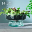 LSA International フラワーベース CANOPY SELF WATERING PLANT 透明 ガラス おしゃれ シンプル ガラスベース 北欧 ...