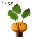 LSA International フラワーベース Oblate オブレート 花瓶 アンバー H13.5cm 透明 ガラス おしゃれ シンプル ガラスベース 北...