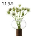 LSA International フラワーベース Oblate オブレート 花瓶 クリア H21.5cm 透明 ガラス おしゃれ シンプル ガラスベース 北欧...