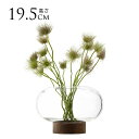 LSA International フラワーベース Oblate オブレート 花瓶 ランタン クリア H19.5cm 透明 ガラス おしゃれ シンプル ガラスベ...